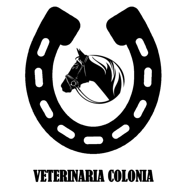 Veterinaria Colonia