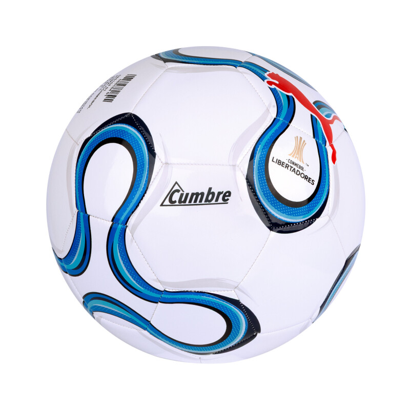 Pelota Puma cumbre Conmebol Libertadores Hombre 085104 01 Blanco-mix
