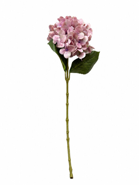 FLOR 4 O +