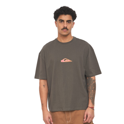 Remera Quiksilver Oval Torch - Gris Remera Quiksilver Oval Torch - Gris