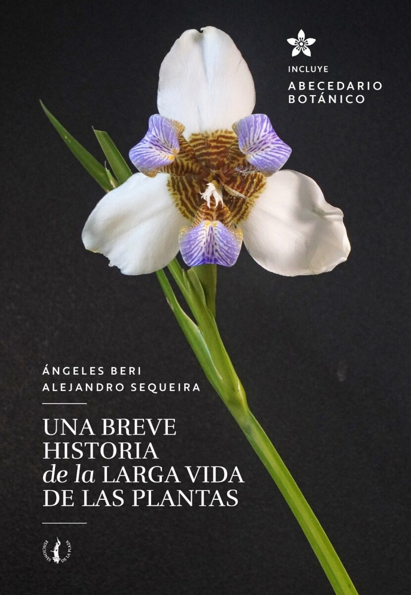 BREVE HISTORIA DE LA LARGA VIDA DE LAS PLANTAS, UNA 