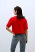 Anis Red