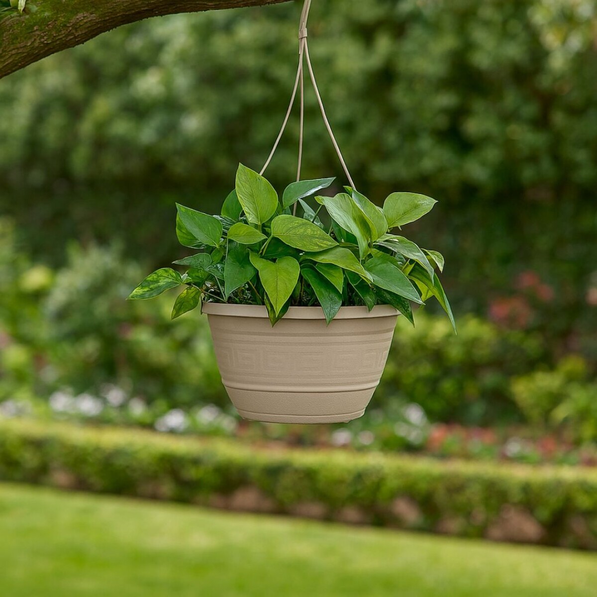 Maceta de colgar 3,5 litros 25cm beige - BEIGE 
