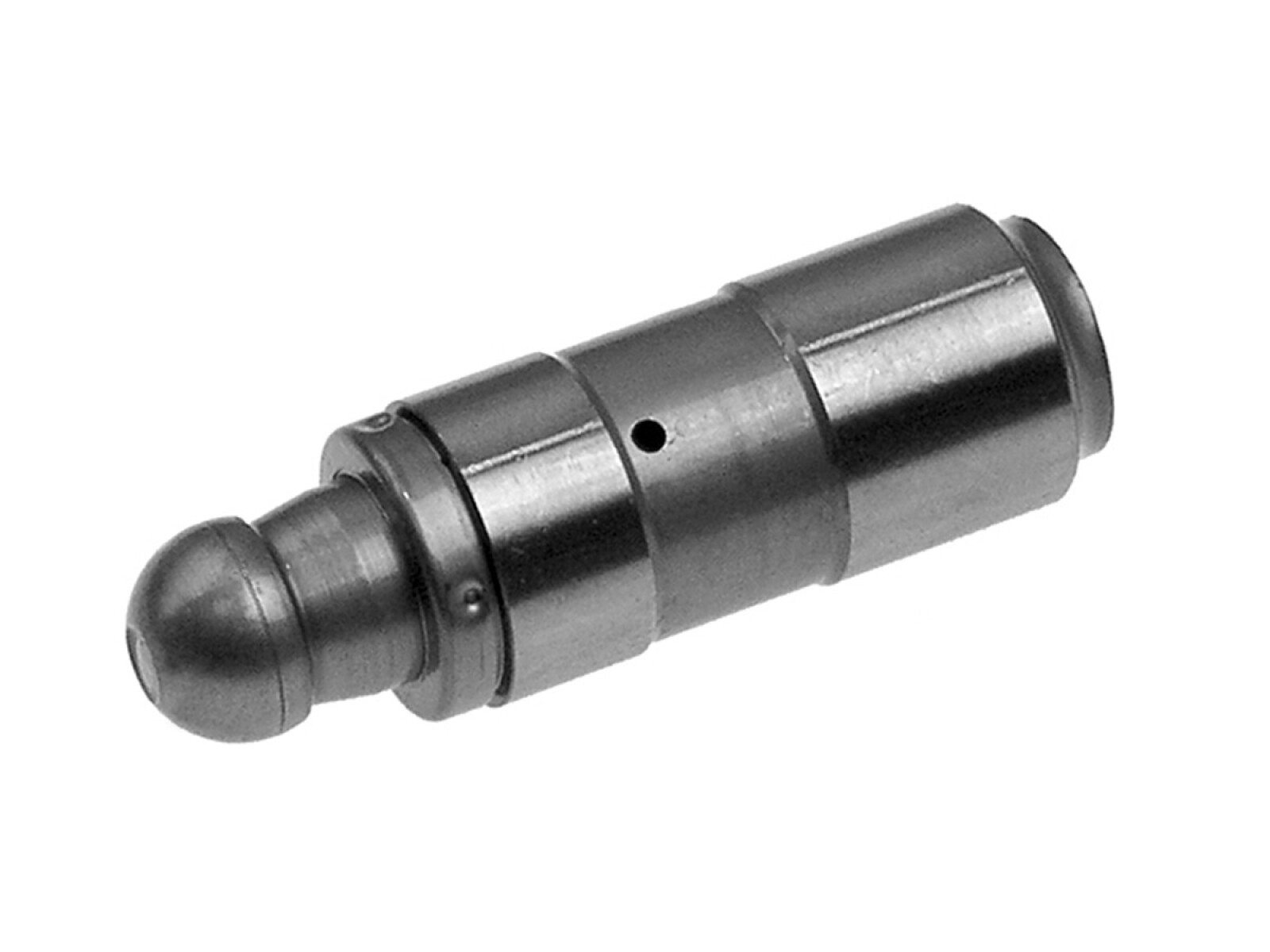 Botador 