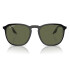 RB 2203/52 col 919-58 polarized Rb 2203/52 Col 919-58 Polarized