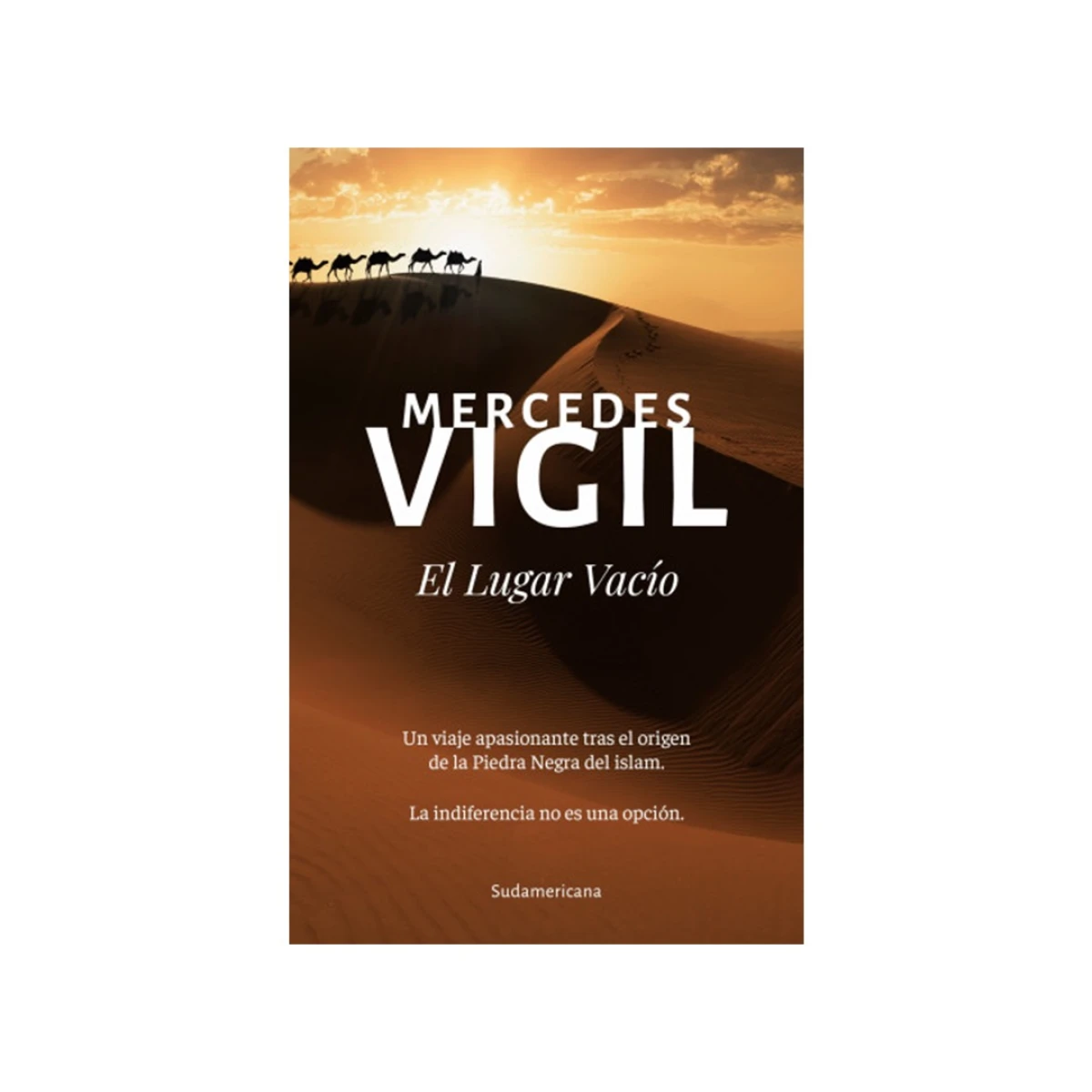 Libro el Lugar Vacio de Mercedes Vigil 