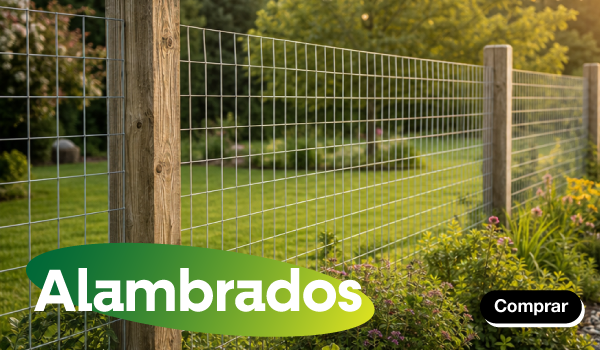 D5Medio1_Alambrados