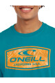 Remera O'Neill California Bloom - Celeste