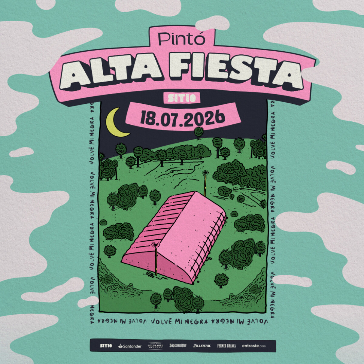 VMN - Pinto alta fiesta - General 