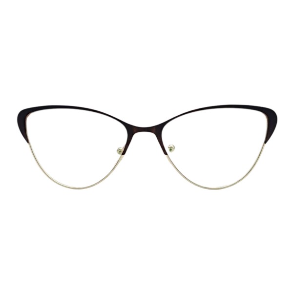 BR370633 marróncombinado