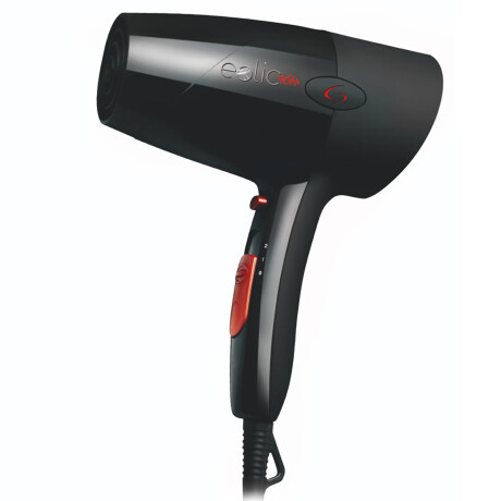 Secador de pelo GAMA Elite Ion 220 Negro