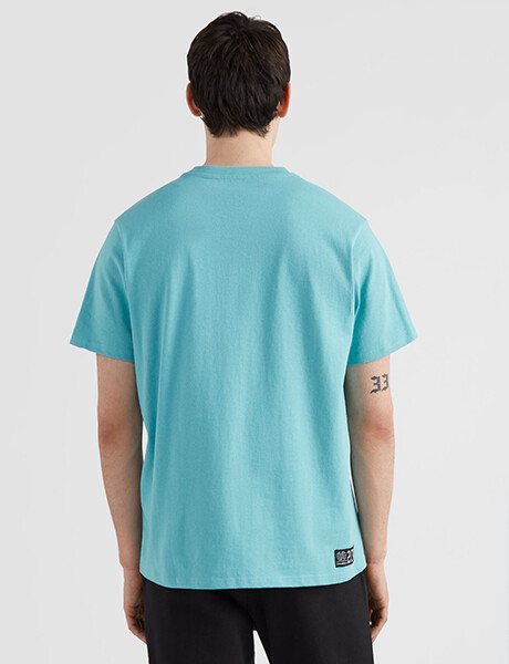 Remera O'Neill Surf Dude Celeste Aqua Sea · Manga Corta