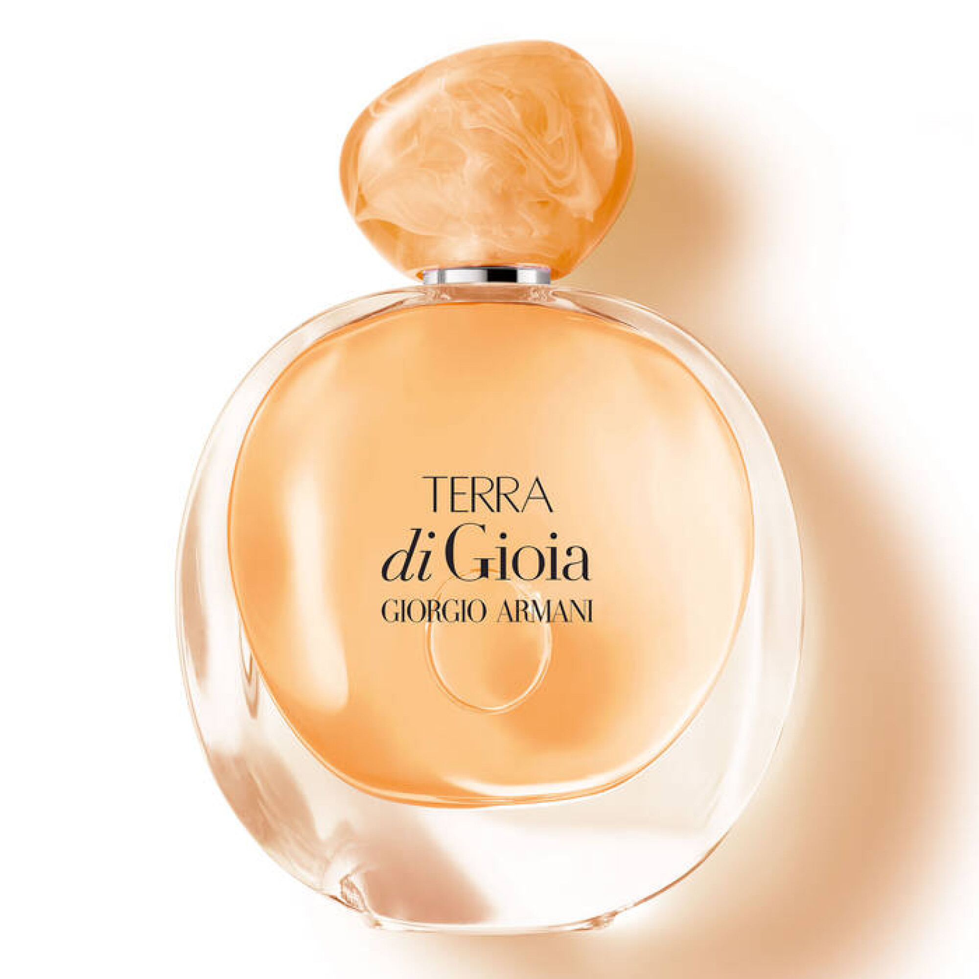 Perfume Armani Terra Di Gioia 100ml Edt San Roque