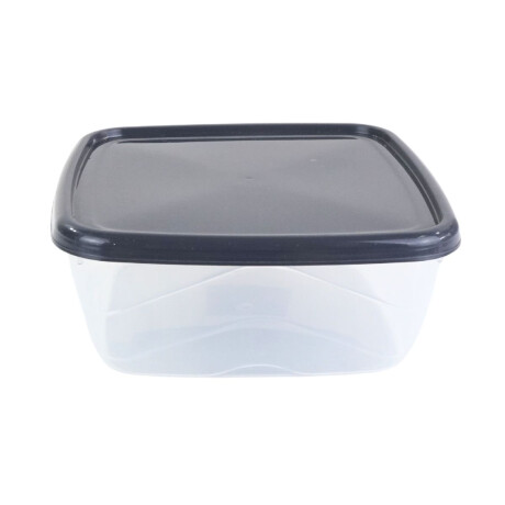 Recipiente de plastico con tapa Recipiente de plastico con tapa