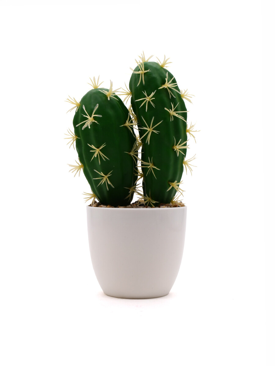 CACTUS - VERDE 