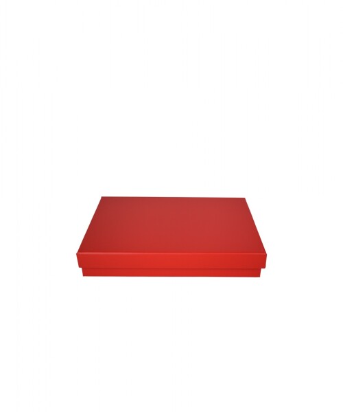 Caja Rigida 19,5 x 29,5 x 5 ROJO