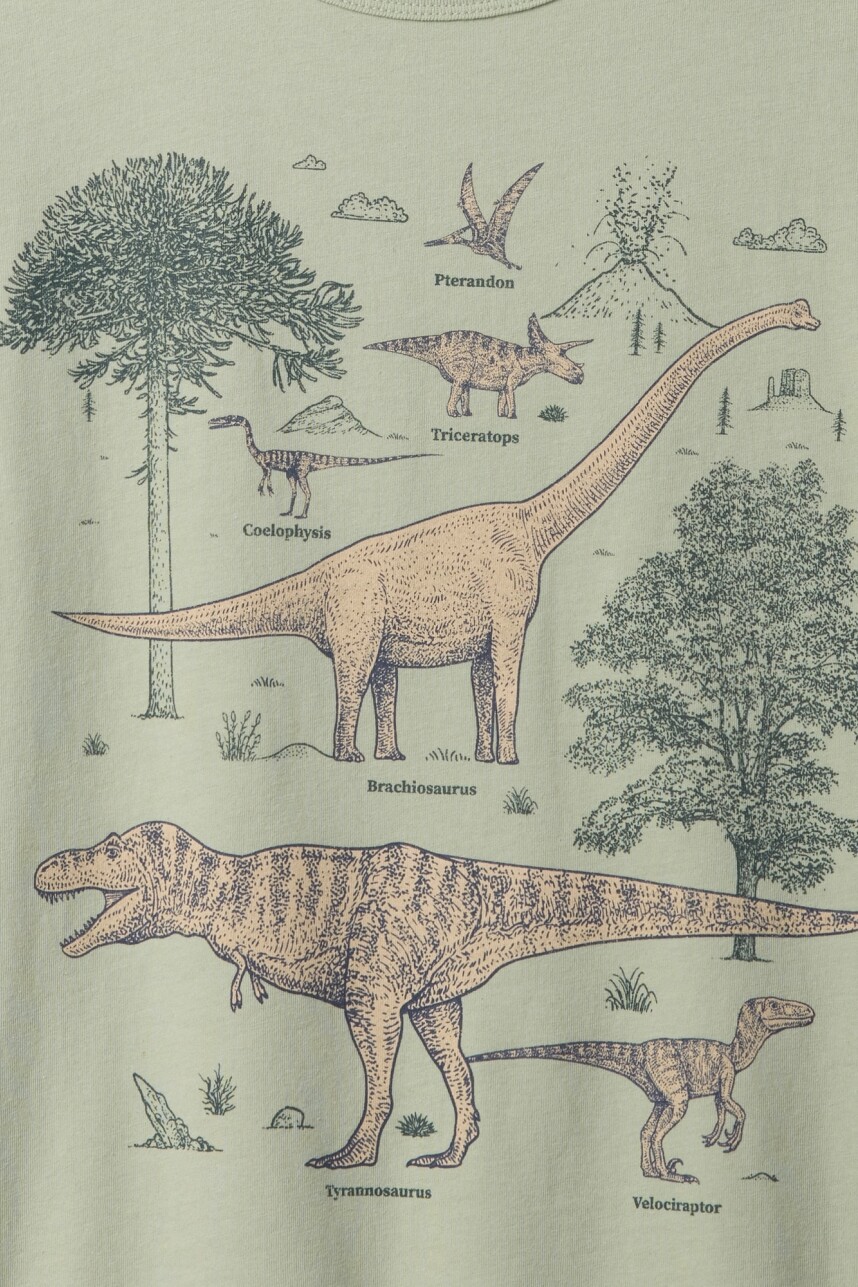 Remera Gráfico Niño Desert Sage