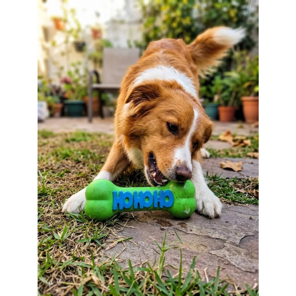 Hueso De Juguete Para Perros 23 X 8 Cm Con Chifle VERDE