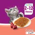 WHISKAS EN SALSA SOUFFLE CARNE GATITOS ALIMENTO HUMEDO 85 GR