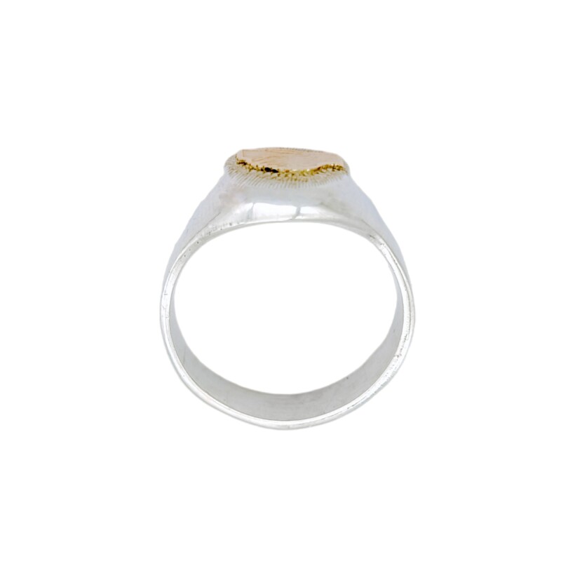 Anillo Profesión Asistente social-Plata y Oro-Sin Piedra-AP5002 Sinpiedra