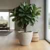 MACETERO PLAST BEIGE 45X69CM Unica