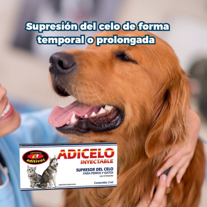 ADICELO INYECTABLE ADICELO INYECTABLE