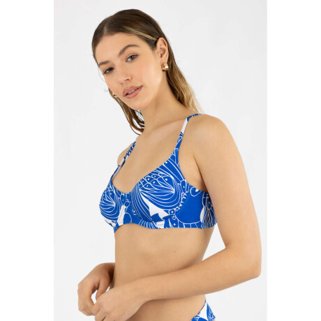 Copa balco est. Papagayo