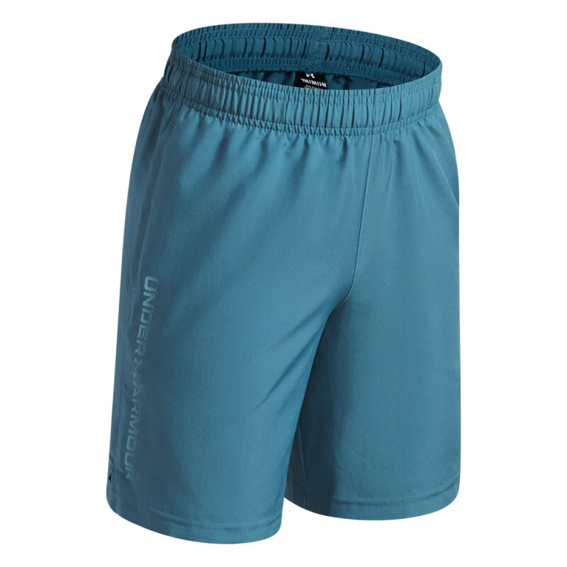 UA Tech Woven Wordmark Short-BLU BLU-466