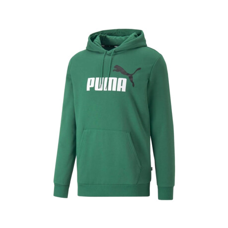 ESS+ 2 Col Big Logo Hoodie FL Green