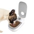 Dispensador De Alimento Timer Para Mascotas Gatos Perros Color Variante Gris