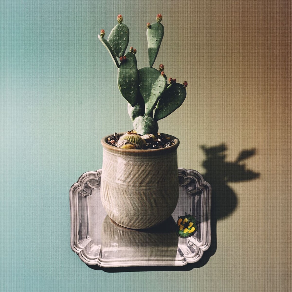 Maceta de cerámica Espiga 