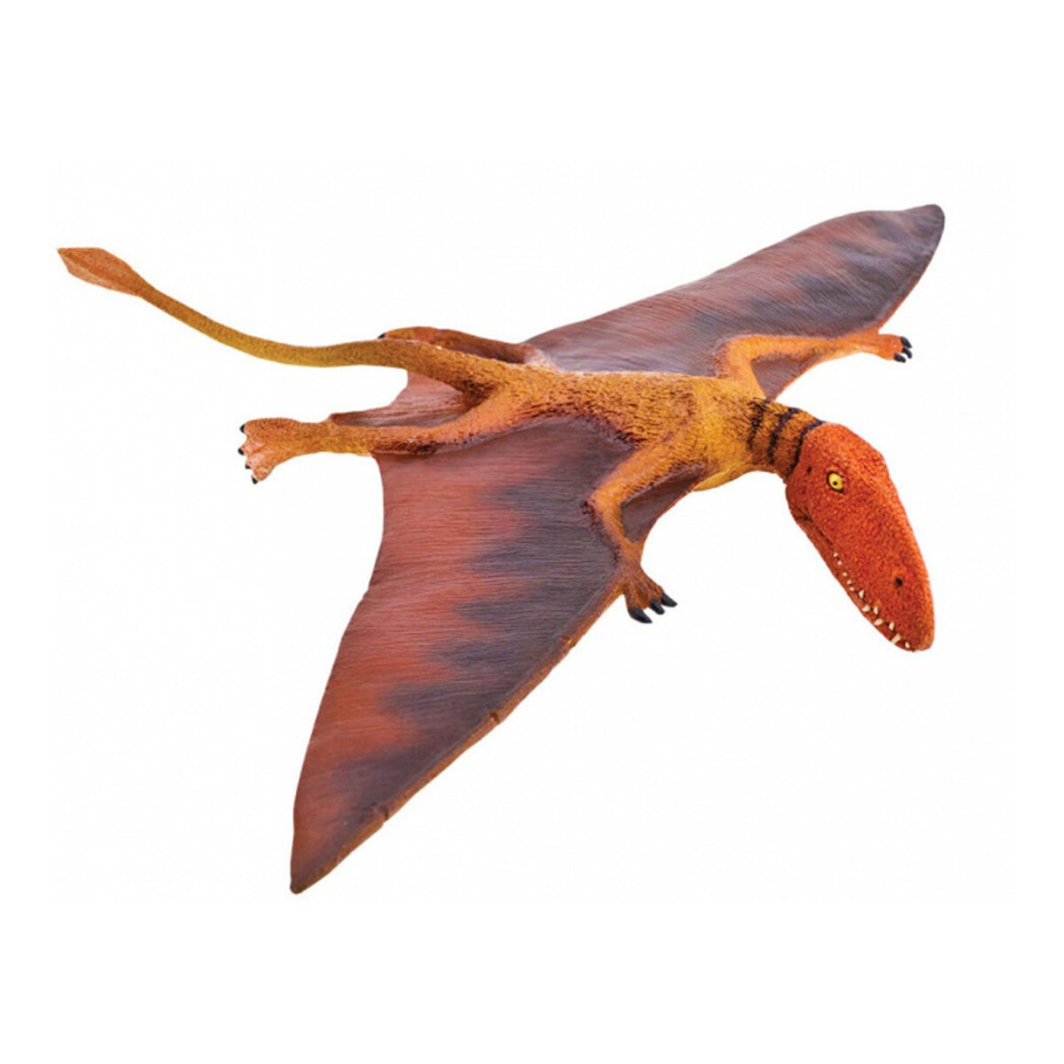 Dinosaurio Dimorphodon Safari Muñeco Realista Niño 