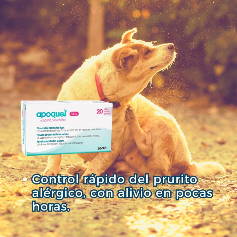 APOQUEL 16 MGS CAJA 20 COMPRIMIDOS APOQUEL 16 MGS CAJA 20 COMPRIMIDOS
