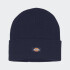 Gorro Dickies Classic Cuffed Knit Negro