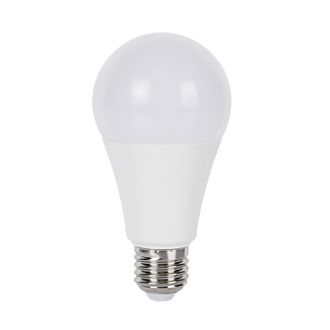 Lámpara LED bulbo opal E27 15W 1215Lm luz cálida IX1993