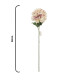 Flor x1 Bicolor