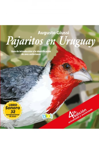 Pajaritos en Uruguay Pajaritos en Uruguay