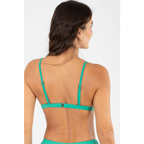 Triangulo rory Green tech