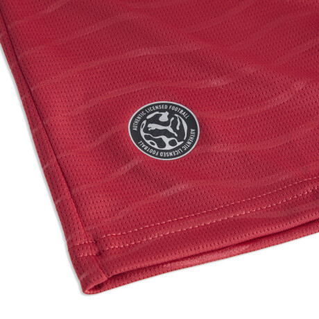 FPF Home Jersey Player 78814177 Rojo/Verde