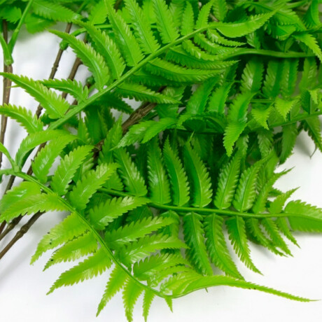 Set X6 Ramo Planta Artificial Decorativa Modelo Surtido Hog009003-x6