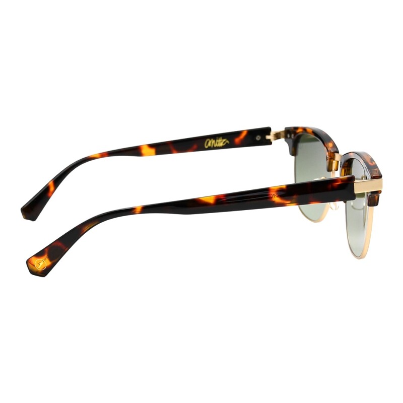 Lentes de Sol Chilli Beans Anitta Animal Print