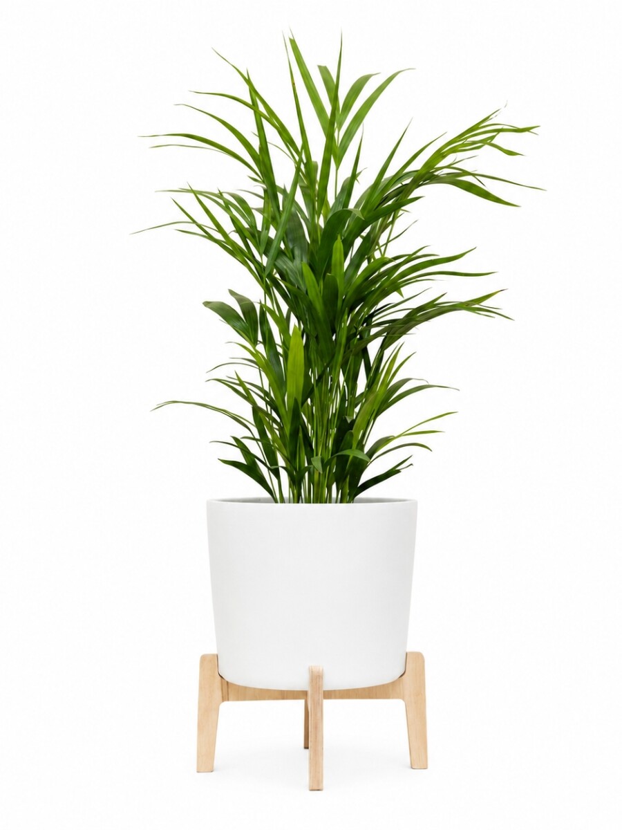 MACETA CERAMICA L MINIMALISTA CON SOPORTE BAJO