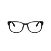 Ray Ban Rb7253l 5196