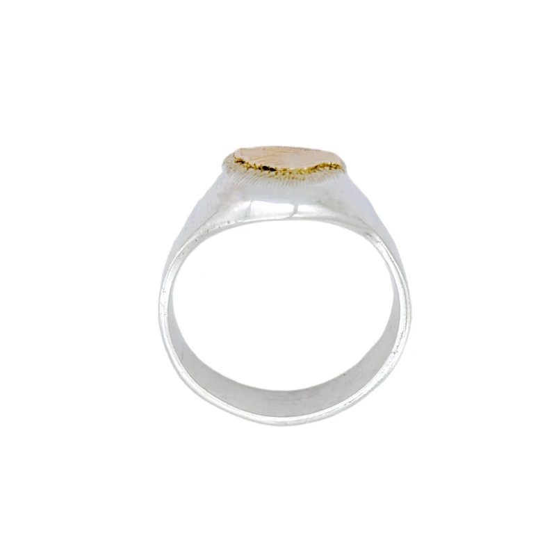 Anillo Profesión Asistente social-Plata y Oro-Sin Piedra-AP5002 sinpiedra