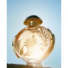 Perfume Paco Rabanne Olympéa Solar EDP INTENSE 50ml Perfume Paco Rabanne Olympéa Solar EDP INTENSE 50ml