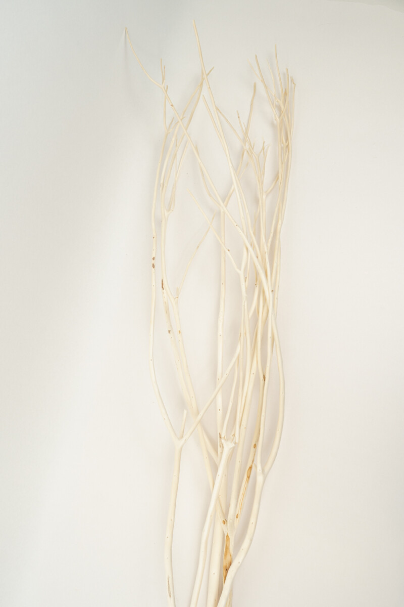 Deco Floral Ramas Secas - Color Unico 