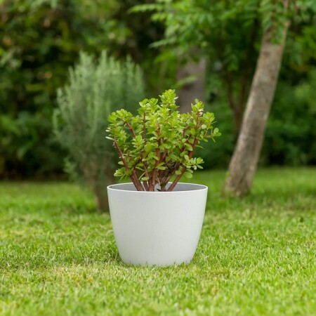 Maceta Redonda Umbra 22cm 6 litros Blanco Blanco