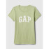 V-GAP SS CLSC TEE - V2 DESERT SAGE