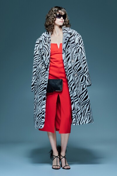 TAPADO DISEÑO ZEBRA Cebra
