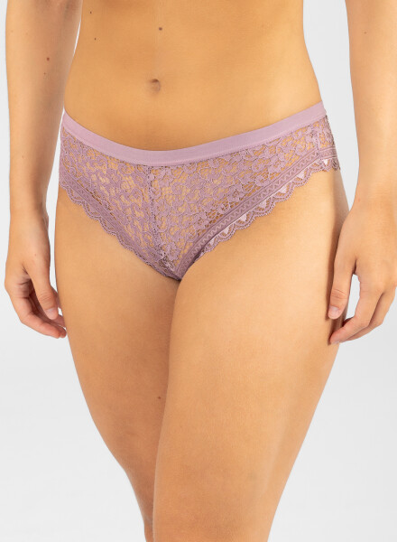 Colaless gazania Lila